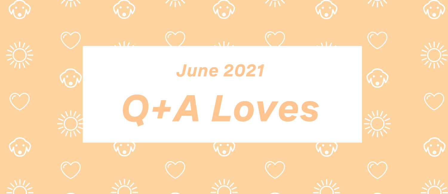 Q+A Loves: June '21 Edition